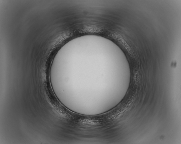 X0000097840635200803281225