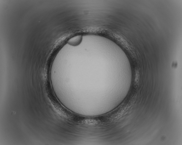 X0000097840636200803281225