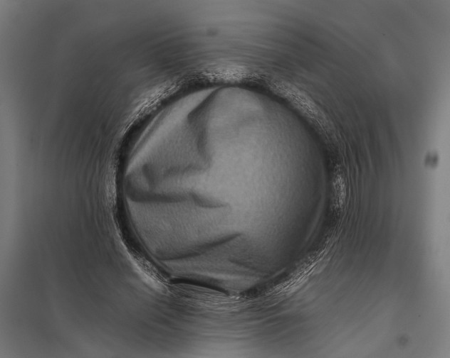 X0000097840638200803281225