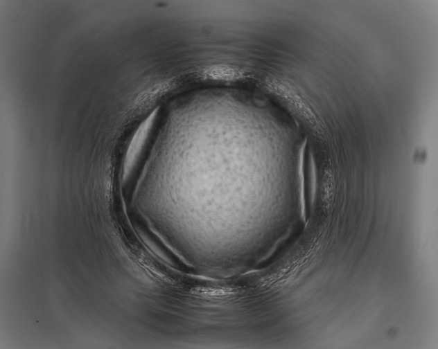X0000097840639200803281225