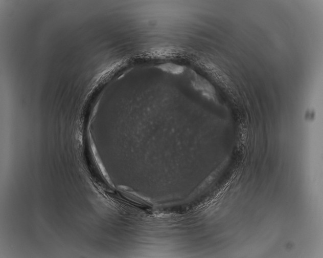 X0000097840640200803281225