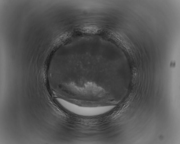 X0000097840641200803281225