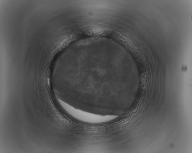 X0000097840642200803281225