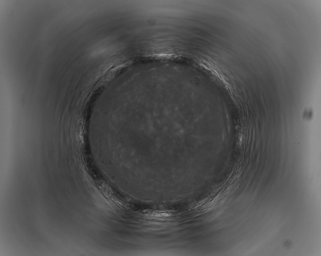 X0000097840643200803281225