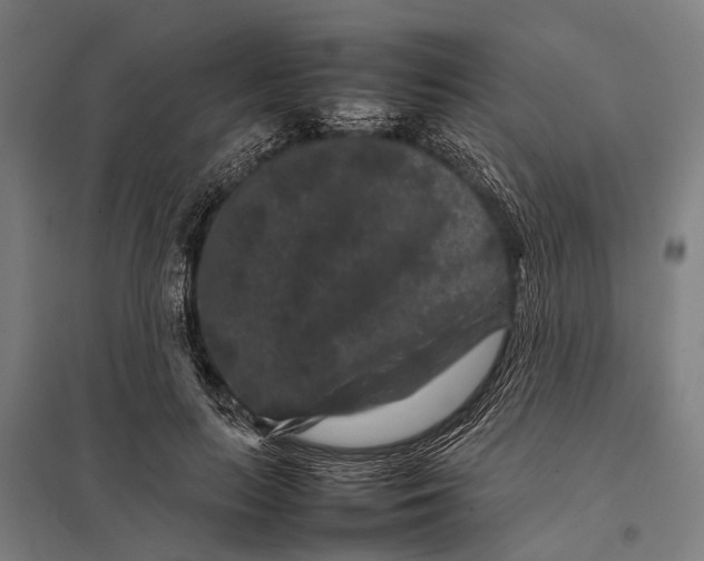 X0000097840647200803281225