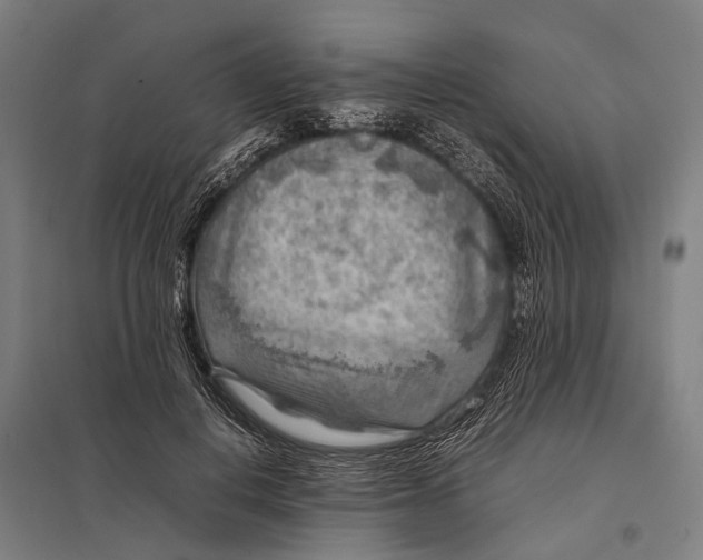 X0000097840648200803281225