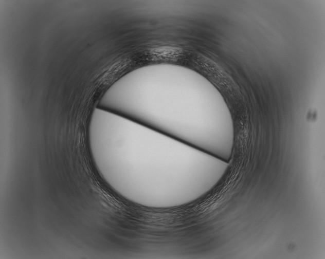 X0000097840649200803281225