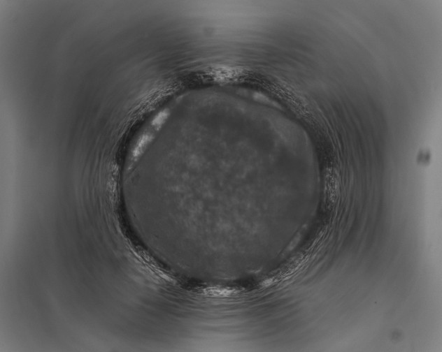 X0000097840650200803281225