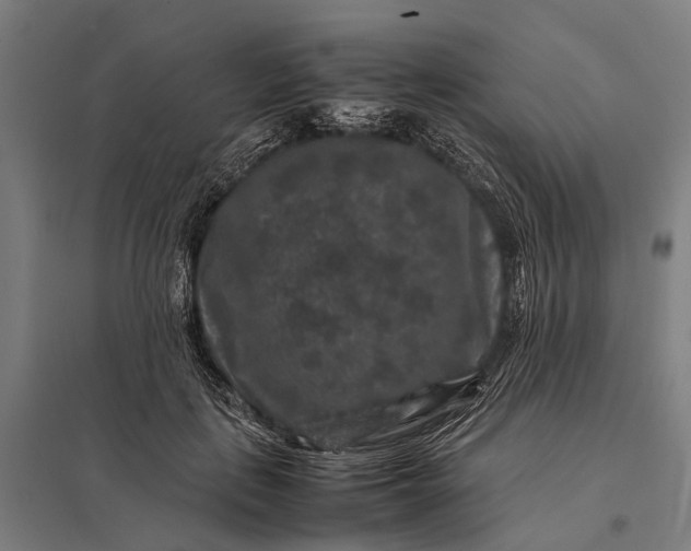 X0000097840651200803281225