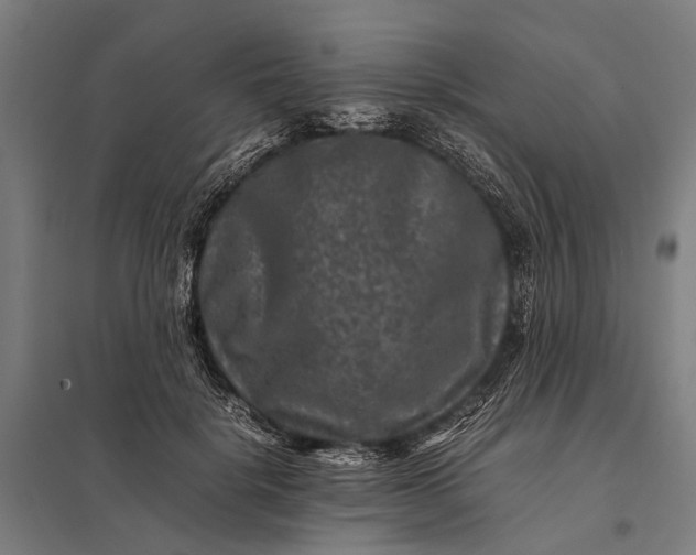 X0000097840652200803281225