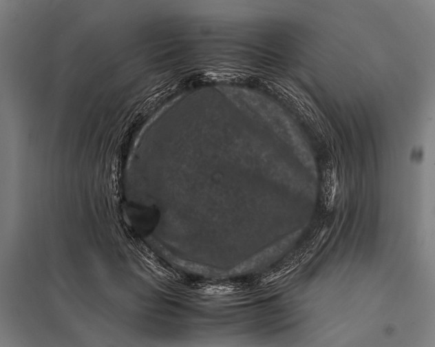 X0000097840653200803281225