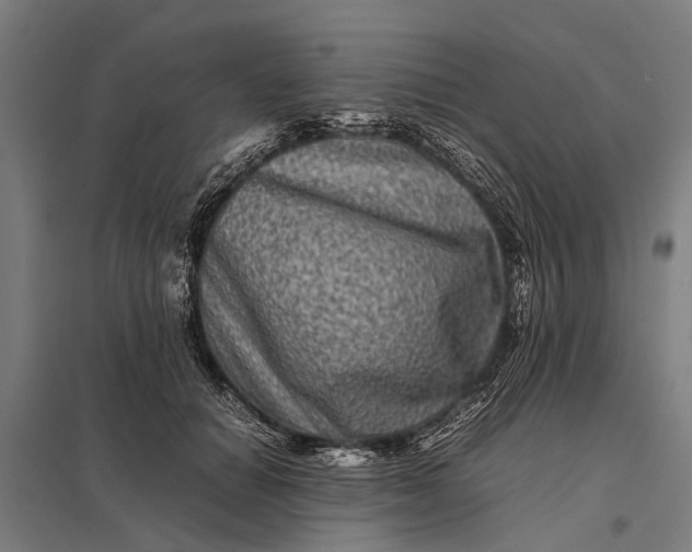 X0000097840654200803281225