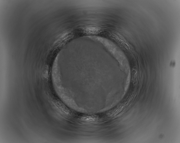 X0000097840655200803281225