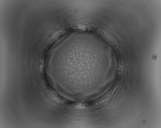 X0000097840656200803281225