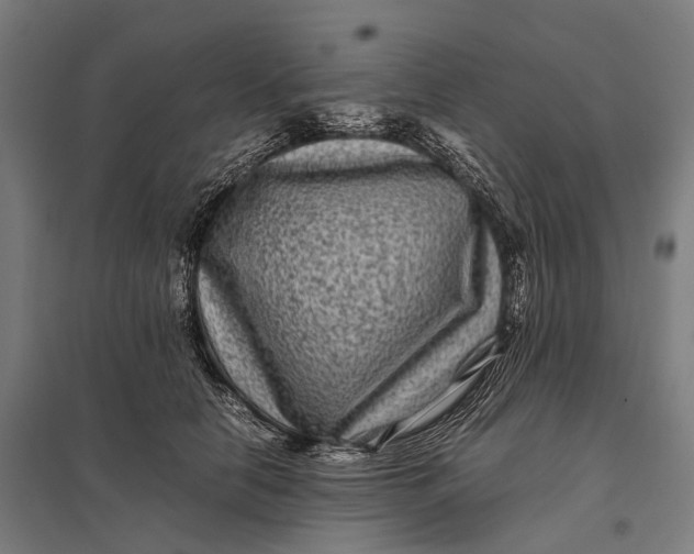 X0000097840658200803281225