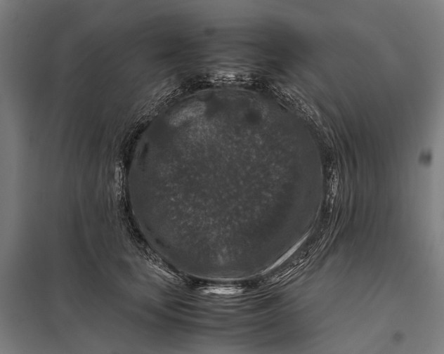 X0000097840659200803281225