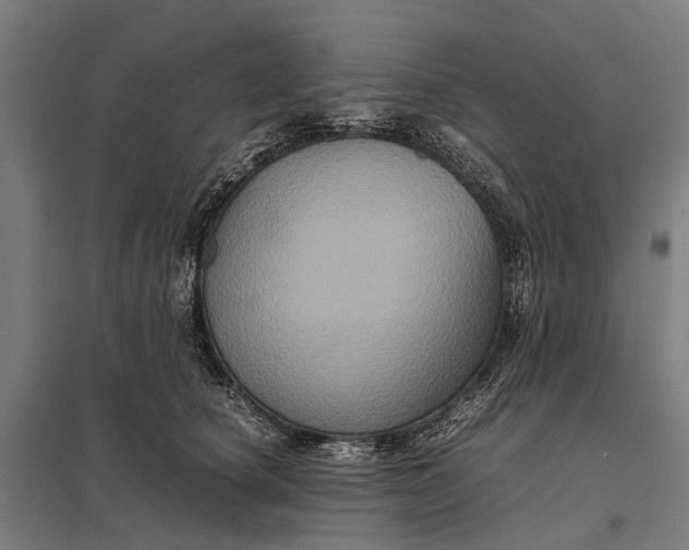 X0000097840660200803281225