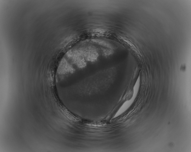 X0000097840661200803281225