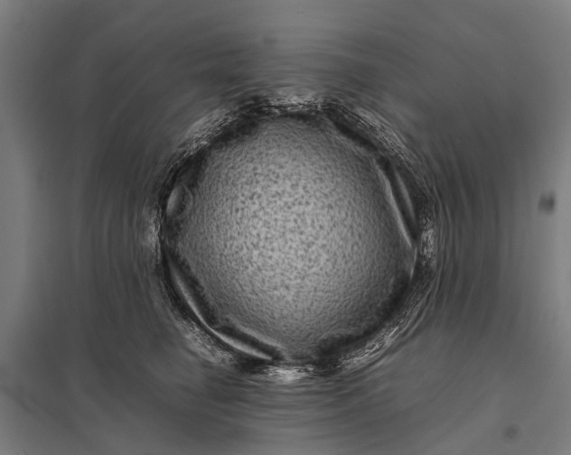 X0000097840662200803281225