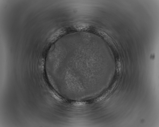 X0000097840664200803281225