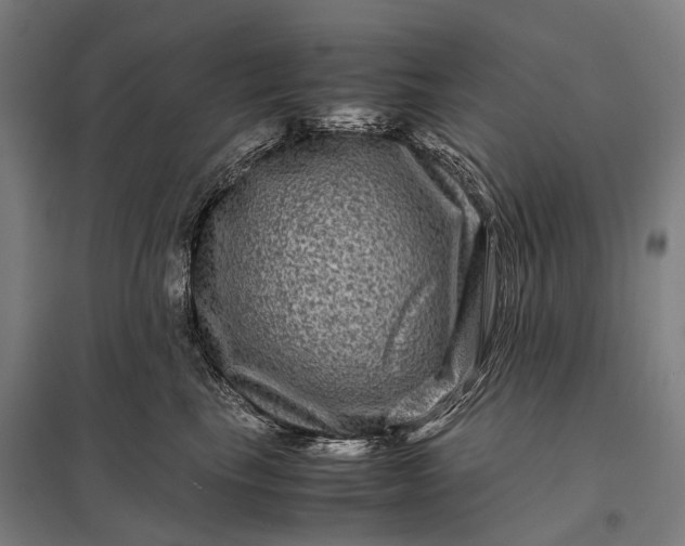 X0000097840665200803281225