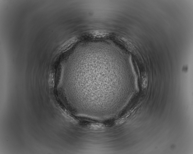 X0000097840666200803281225