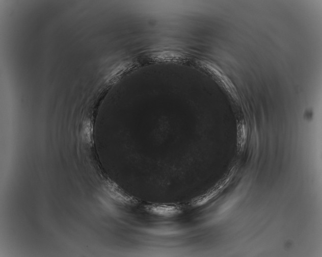 X0000097840669200803281225