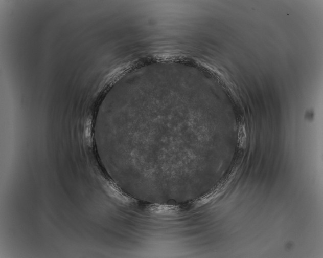X0000097840670200803281225