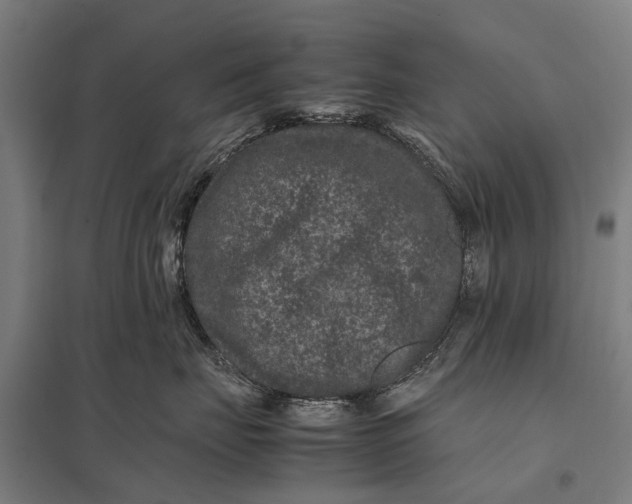 X0000097840671200803281225