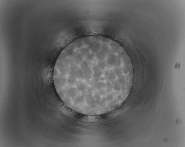 X0000097840672200803281225
