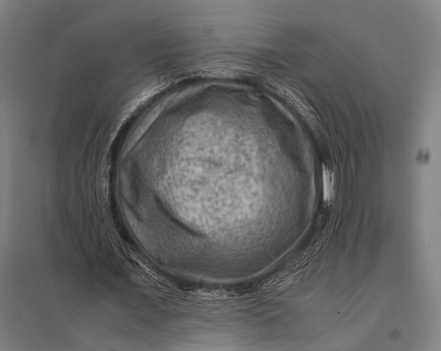 X0000097840675200803281224