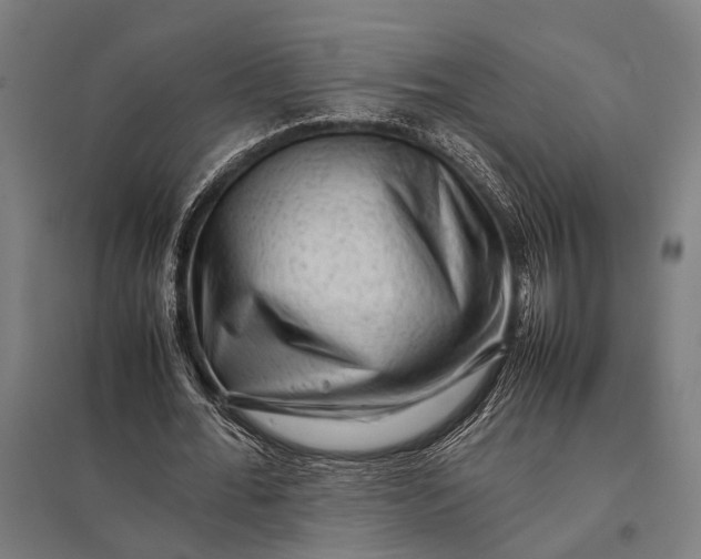 X0000097840676200803281224