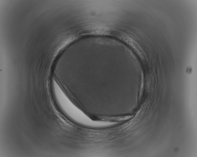 X0000097840677200803281224