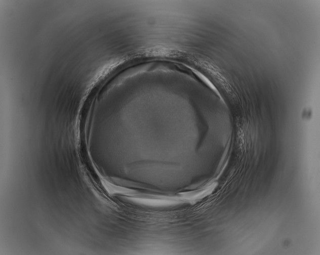 X0000097840678200803281224