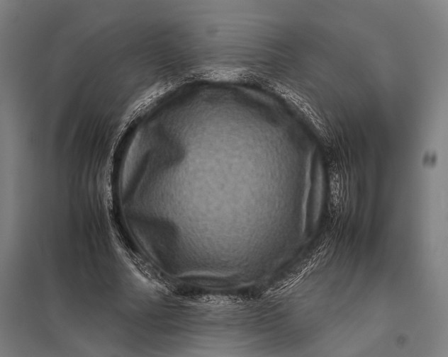 X0000097840682200803281224