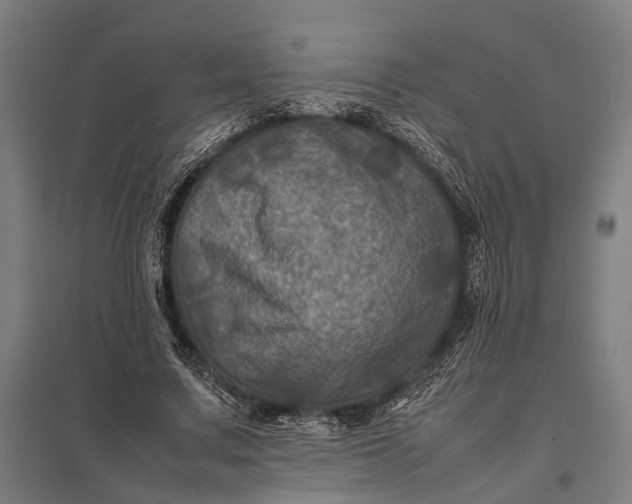 X0000097840683200803281224