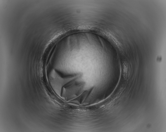 X0000097840684200803281224