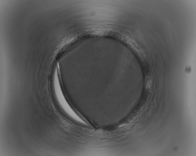 X0000097840685200803281224