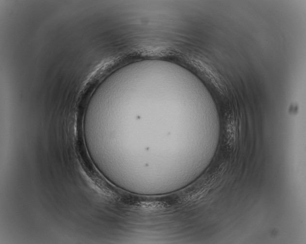 X0000097840686200803281224