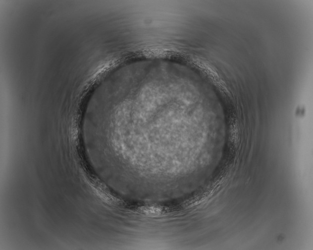 X0000097840687200803281224