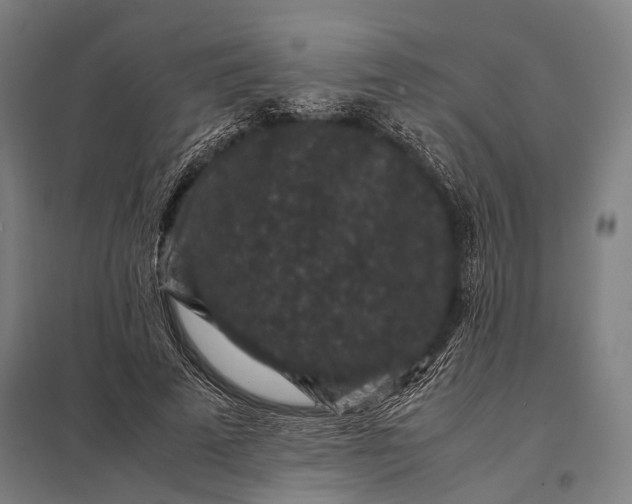 X0000097840689200803281224