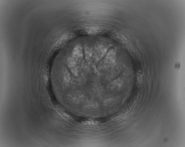 X0000097840691200803281224