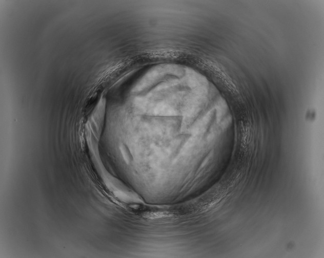 X0000097840692200803281224