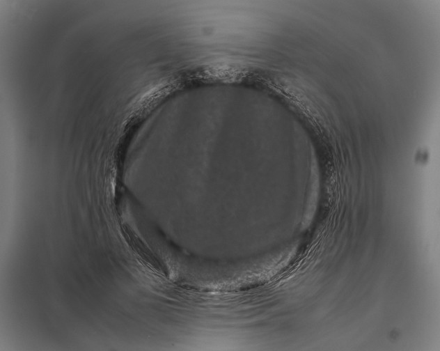 X0000097840693200803281224