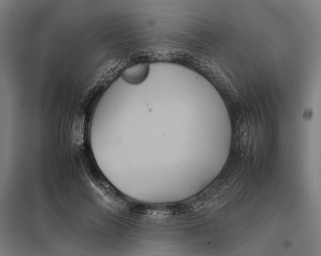 X0000097840694200803281224