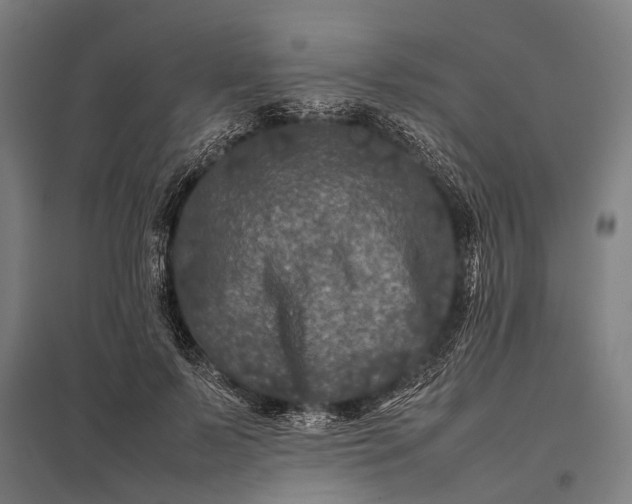 X0000097840695200803281224