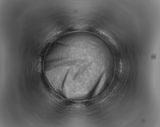 X0000097840696200803281224