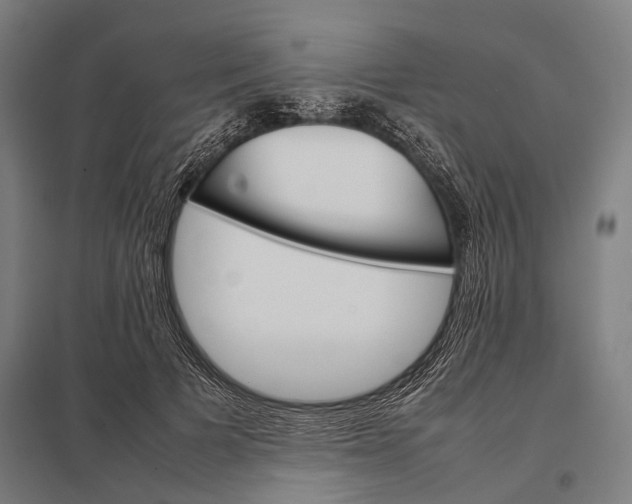 X0000097840697200803281224