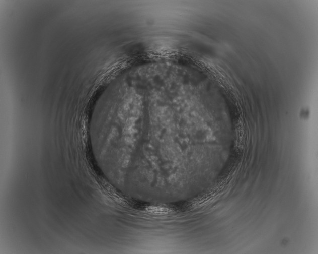 X0000097840699200803281224