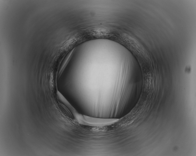 X0000097840700200803281224